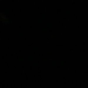 Meet your Posher, Jodi